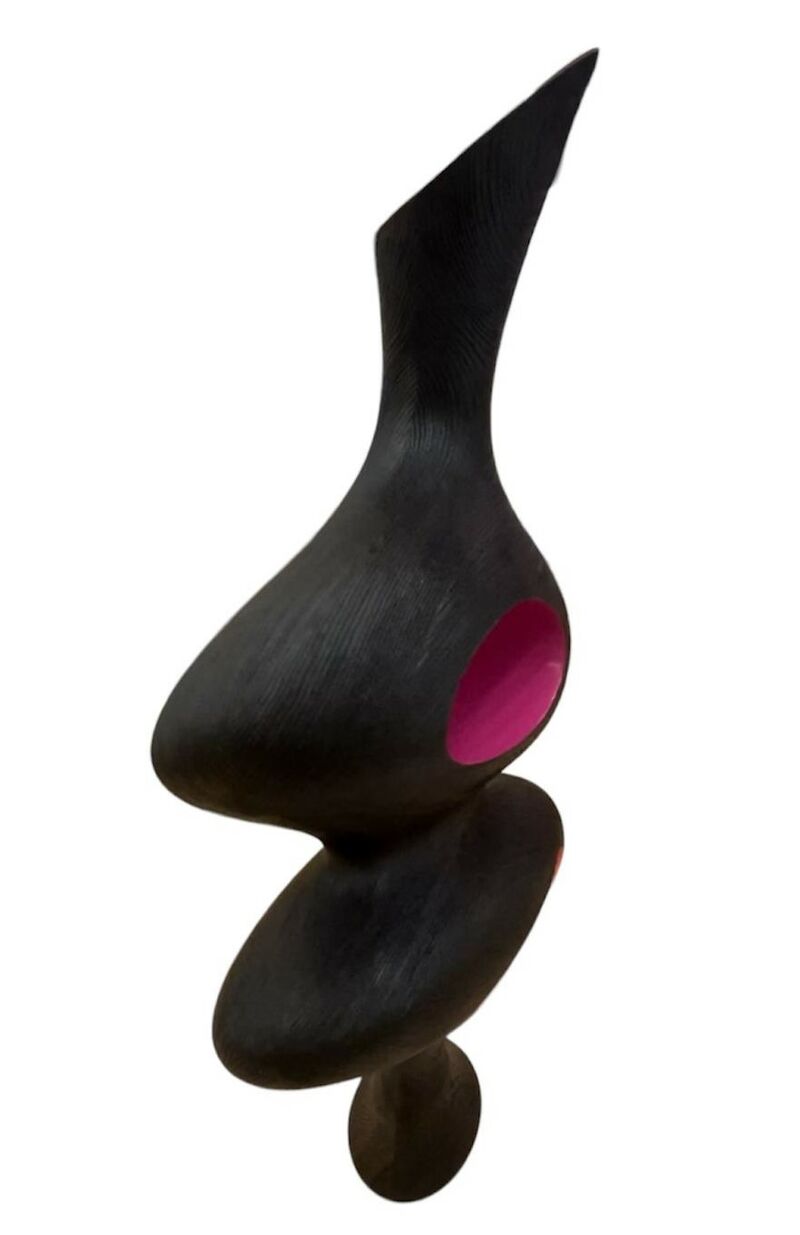 Nuru - a Sculpture & Installation by Donald Baugh